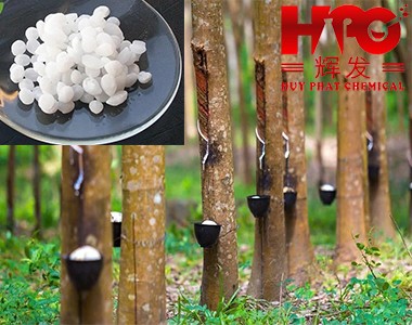 Giới Thiệu Hóa Chất Ngành Cao Su Và Vai Trò Trong Sản Xuất.